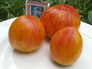 Сердце королевы красоты (Beauty Queen Heart), Двухцветные томаты,