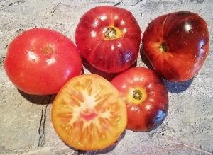 Синяя Хижина (Blue inn), Синие томаты,