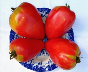 Телячье сердце (Calf's Heart), сердцевидные томаты,