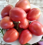 . Карлик балет Мелани (Dwarf Melanie's Ballet)