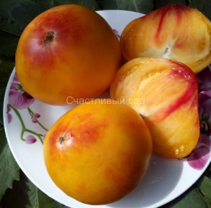 Ананас Малибу (Malibu Pineapple), сердцевидные томаты,