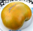 . Эсмеральда Грин