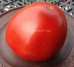 . Белоруское сердце