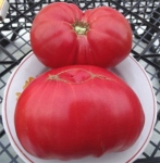 . Lambert's General Grant