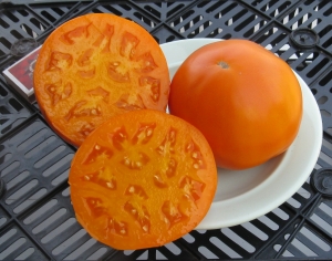 Золотая рапсодия, желтые и оранжевые томаты,