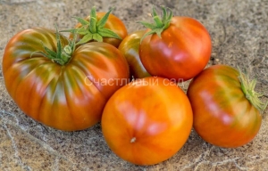 Карлик Медноголовый (Dwarf Copperhead)