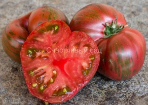 Карлик Чёрный Огонь (Dwarf Black Fire)