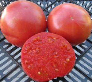 Лихач Вилс (Reckless driver Vils), среднерослые,