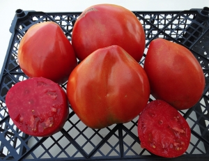 Очередное Сердце Марека (Marek's Pointy Heart), Гиганты сердцевидные,