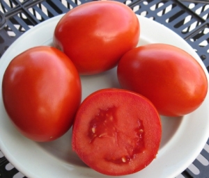 Красный камень (Red Stone), Сливовидно-овальные томаты,