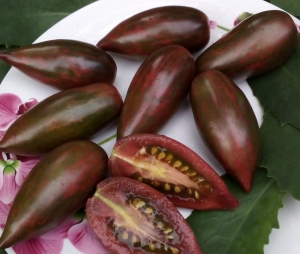 Пурпурный Изумруд (Рurple Еmerald), Длинноплодные томаты,