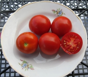 Семира, Карликовые и штамбовые сорта