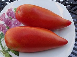 Pittman Valley Plum, Длинноплодные томаты,