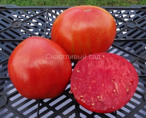 Бычье Сердце Альбенга - 2(Albenga Oxheart - 2), сердцевидные томаты,