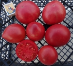 . Каменное сердце