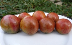 Карлик Пояс Ориона (Dwarf Orion's Belt)