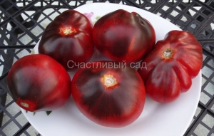 Грушевидные томаты, Синяя Груша (Blue Pear)