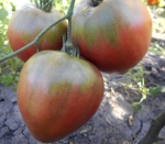 . Чёрная пирамида (Black Pyramida)