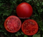 . Сорок карликов Энди (Dwarf Andy’s Forty)