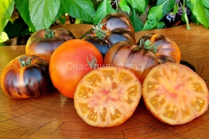 Ananas Bleue Lignee, двухцветные томаты,