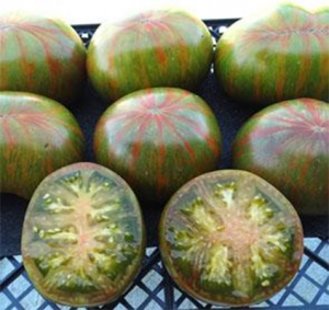 Berkeley Tie Dye Green, двухцветные томаты,