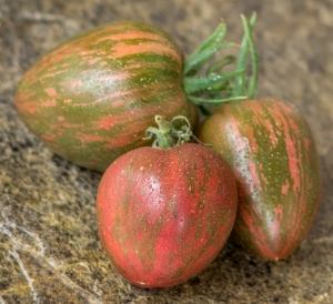 Blood Gulch, Сердцевидные томаты