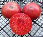 . Brandywine Sudduth’s Strain (Брэндивайн линия Саддата)