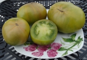 Карлик Берилловая Красота (Dwarf Beryl Beauty)