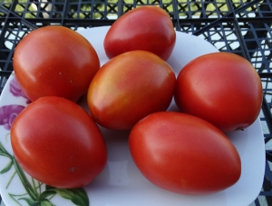 Карлик Красное Сердце (Dwarf Red Heart), Карлики (Dwarf),