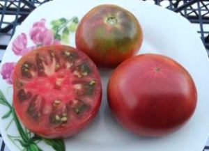 Карлик Дикий Листопад (Dwarf Wild Spudleaf), Карлики (Dwarf),