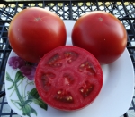 . Frazier’s Gem Dwarf