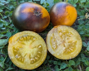 Карлик Луна Гондвана (Dwarf Gondwana Moon)