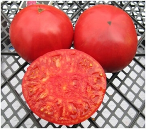 Немецкий Красный томат бабули Кэнтрелл (Granny Cantrell German Red Tomato),  Гиганты классические красные
