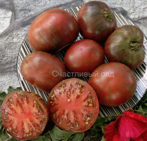 Gun Metal Grey, Шоколадные томаты