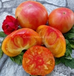 . Медовое Авеню (Honey Avenue)