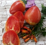 . Розовое бычье сердце Джо (Joe's Pink Oxheart)