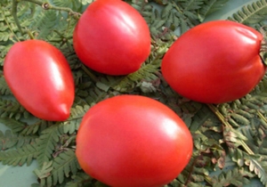 La Destrousse, сердцевидные томаты,