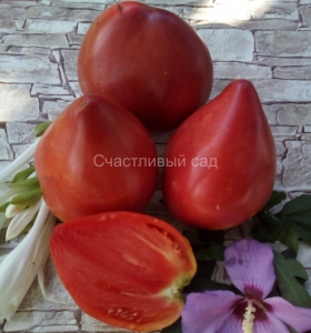 Ландхутский великан (Landshuter Riese), сердцевидные томаты,