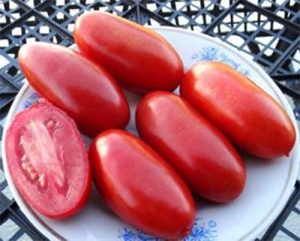 Лимбо (Limbaugh), Длинноплодные томаты,