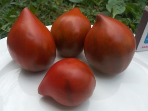 Сердце Линнея (Linnaeus heart), сердцевидные томаты,