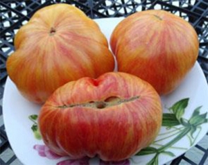 Lithium Sunset, полосатые томаты,