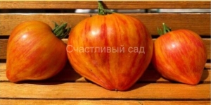 Мечта Людмилы (Ludmila’s Dream), двухцветные томаты,