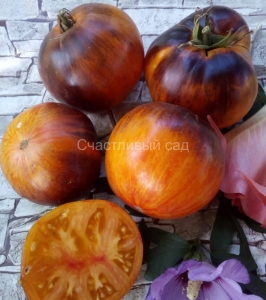  Merk Rokey, Синие томаты,