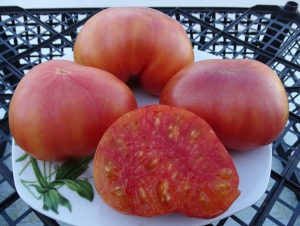 Мамин (Mom's), двухцветные томаты,