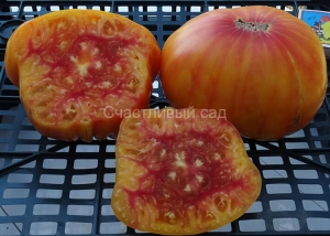 Peppermint, двухцветные томаты,