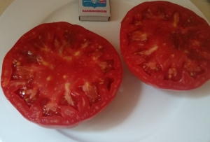 Puszta Kolosz, Гиганты красные