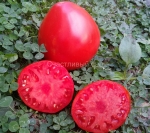 . Красное Масляное Сердце (Red Butter Heart)