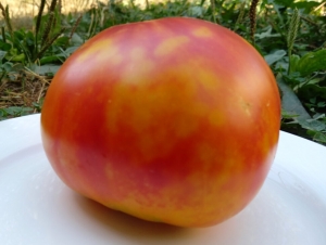 Красно-жёлтое сердце (Red Yellow heart), двухцветные томаты,