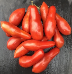 Королевский палец (Royal Finger), Длинноплодные томаты,