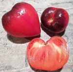 . Сержант Марли (Sgt. Marley)